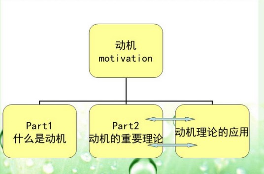 动机（认知理论）