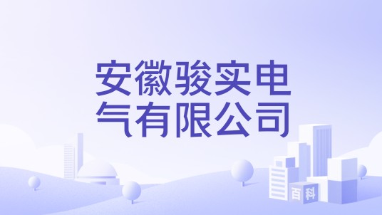 安徽骏实电气有限公司