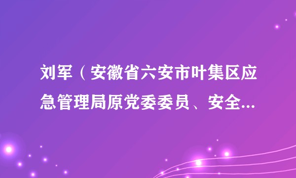 刘军（安徽省六安市叶集区应急管理局原党委委员、安全生产执法监察大队大队长）