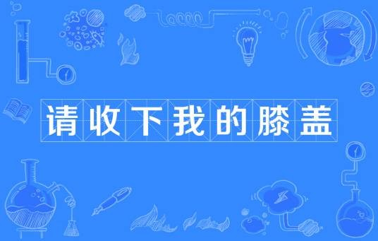 请收下我的膝盖