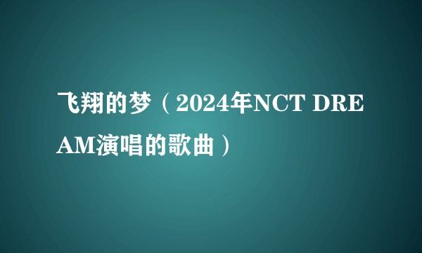 飞翔的梦（2024年NCT DREAM演唱的歌曲）