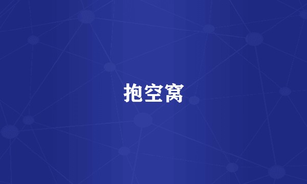 抱空窝