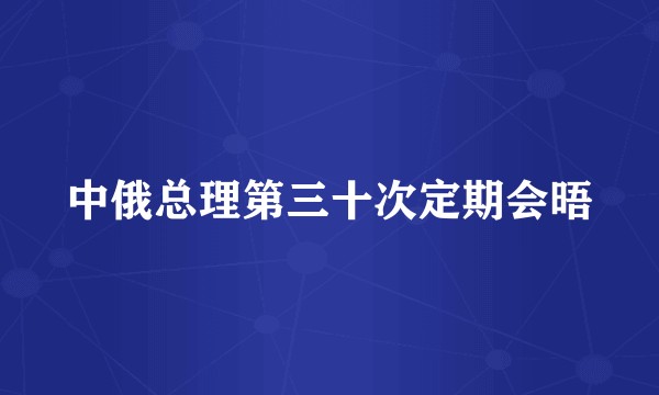 中俄总理第三十次定期会晤