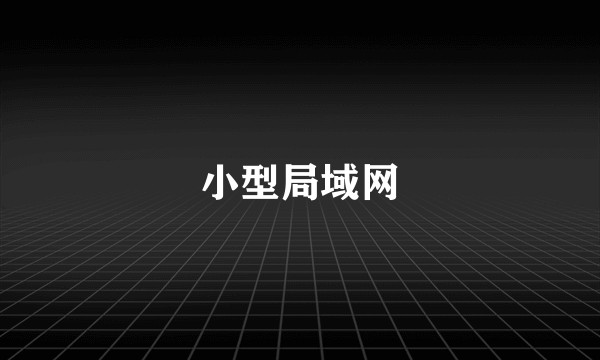 小型局域网