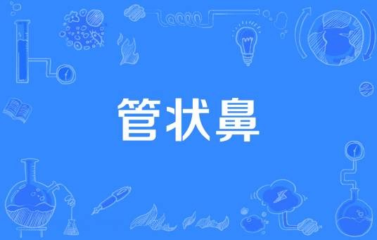 管状鼻