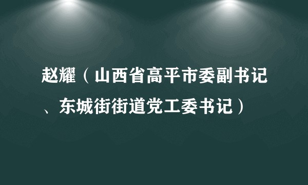 赵耀（山西省高平市委副书记、东城街街道党工委书记）