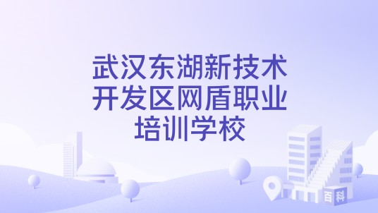 武汉东湖新技术开发区网盾职业培训学校