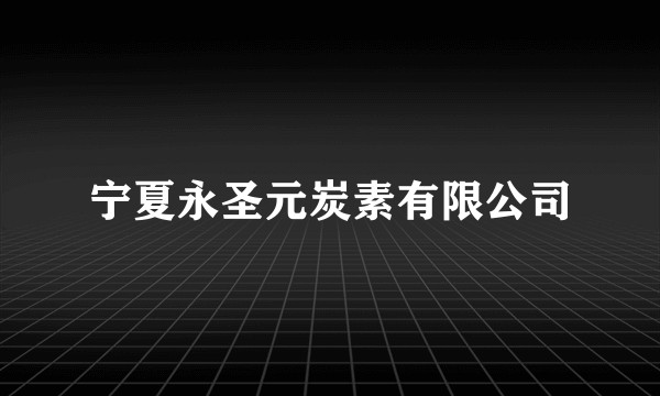 宁夏永圣元炭素有限公司