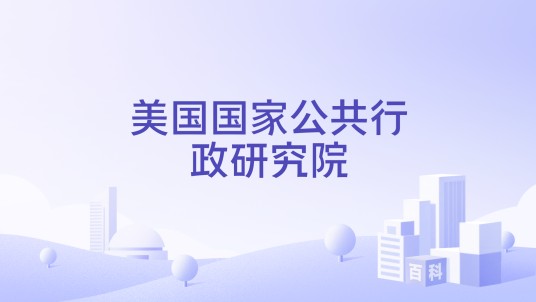 美国国家公共行政研究院