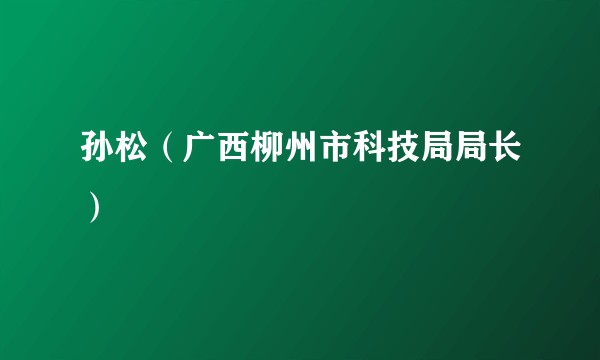 孙松（广西柳州市科技局局长）