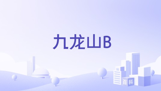 九龙山B