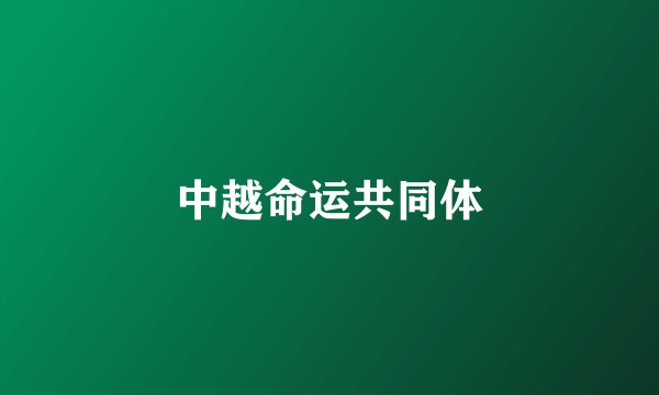 中越命运共同体