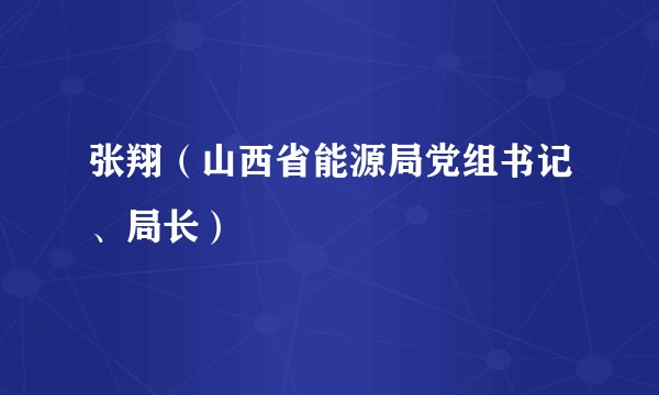 张翔（山西省能源局党组书记、局长）