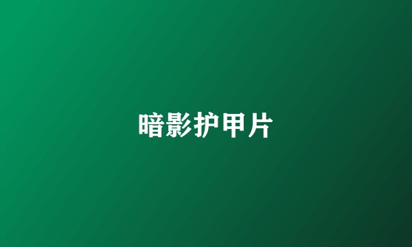 暗影护甲片