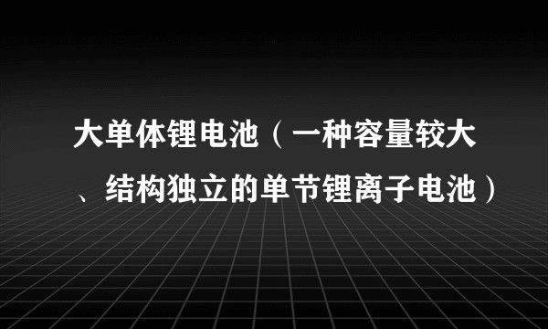 大单体锂电池（一种容量较大、结构独立的单节锂离子电池）