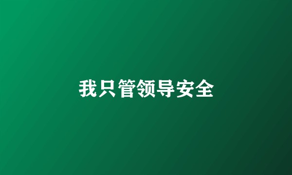 我只管领导安全