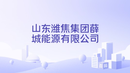 山东潍焦集团薛城能源有限公司