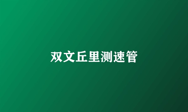 双文丘里测速管