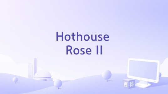 Hothouse Rose II